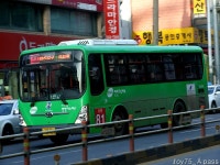 2010 / 11 / 28 - 공촌사거리, 검단, 양곡, 사우동 - 버스 갤러리