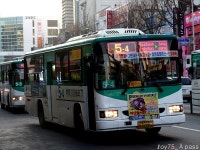 2010 / 12 / 26 - 부천북부역, 소사역 잡사 - 버스 갤러리