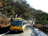 2010 / 12 / 31 - 남산, 디엠씨, 능곡역, 인천공항 - 버스 갤러리