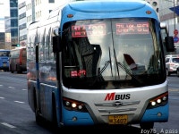 2011 / 01 / 05 - 강남대로 잡사 - 버스 갤러리