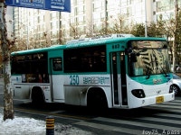 2011 / 01 / 05 - 강남대로 잡사 - 버스 갤러리