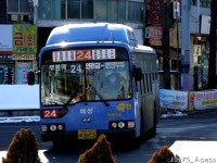 2010 / 01 / 12 - 동인천역,제물포역,주안역 - 버스 갤러리