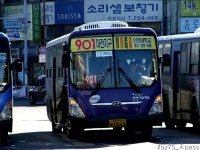 2010 / 01 / 12 - 동인천역,제물포역,주안역 - 버스 갤러리