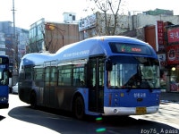 2010 / 01 / 12 - 동인천역,제물포역,주안역 - 버스 갤러리