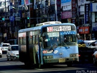 2010 / 01 / 12 - 동인천역,제물포역,주안역 - 버스 갤러리