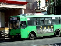 2010 / 01 / 12 - 동인천역,제물포역,주안역 - 버스 갤러리