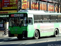 2010 / 01 / 12 - 동인천역,제물포역,주안역 - 버스 갤러리
