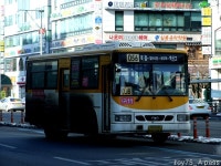 2010 / 01 / 15 - 대화역 (8번 저상, 88번 NSAC 外) - 버스 갤러리