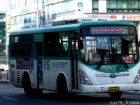 2010 / 01 / 15 - 대화역 (8번 저상, 88번 NSAC 外) - 버스 갤러리