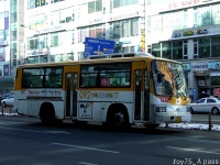 2010 / 01 / 15 - 대화역 (8번 저상, 88번 NSAC 外) - 버스 갤러리