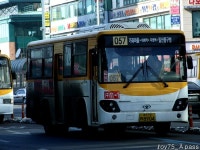 2010 / 01 / 15 - 대화역 (8번 저상, 88번 NSAC 外) - 버스 갤러리