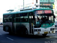 2010 / 01 / 15 - 대화역 (8번 저상, 88번 NSAC 外) - 버스 갤러리