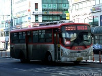 2010 / 01 / 15 - 대화역 (8번 저상, 88번 NSAC 外) - 버스 갤러리