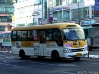 2010 / 01 / 15 - 대화역 (8번 저상, 88번 NSAC 外) - 버스 갤러리