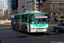 2010 / 01 / 21 - 부천,당산역,화정 잡사 - 버스 갤러리