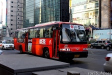 2010 / 02 / 01 - 강남역 - 버스 갤러리