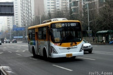 2011 / 02 / 05 - 화정,원당,삼송 - 버스 갤러리