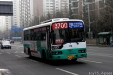 2011 / 02 / 05 - 화정,원당,삼송 - 버스 갤러리