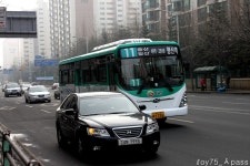 2011 / 02 / 05 - 화정,원당,삼송 - 버스 갤러리