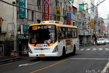 2011 / 02 / 05 - 화정,원당,삼송 - 버스 갤러리