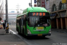 2011 / 02 / 05 - 화정,원당,삼송 - 버스 갤러리