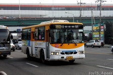 2011 / 02 / 05 - 화정,원당,삼송 - 버스 갤러리