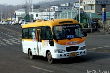 2011 / 02 / 05 - 화정,원당,삼송 - 버스 갤러리