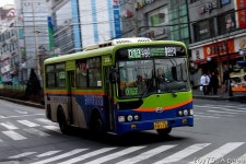 2011 / 02 / 14 - 금촌,문산,관산동 - 버스 갤러리