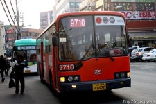 2011 / 02 / 14 - 금촌,문산,관산동 - 버스 갤러리