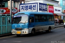 2011 / 02 / 14 - 금촌,문산,관산동 - 버스 갤러리