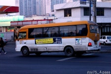 2011 / 02 / 19 - 백석동,화정역,능곡역 - 버스 갤러리