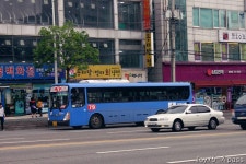 [110521] 계산동, 야탑역 잡사 - 버스 갤러리