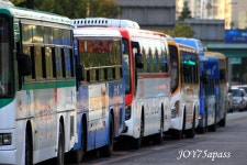 [일산] 기차놀이 시리즈 - 버스 갤러리