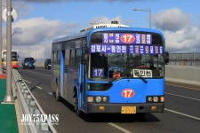 [111203] 선진여객 72번 , 901번 外 (검암역 시천교 잡사) - 버스 갤러리