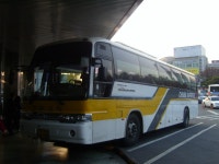 북대구.동대구고텀 짤 - 버스 갤러리