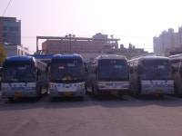 북대구.동대구고텀 짤 - 버스 갤러리