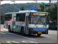 50번 - 버스 갤러리