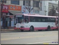 안동 시내버스 잡사 - 버스 갤러리