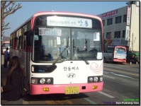 안동 시내버스 잡사 - 버스 갤러리