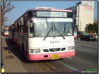 안동 시내버스 잡사 - 버스 갤러리
