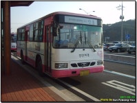 안동 시내버스 잡사 - 버스 갤러리