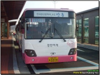 안동 시내버스 잡사 - 버스 갤러리