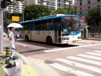 으어어 너무 덥다ㄲㄲㄲㄲ(뽀-수 이야기 있당께) - 버스 갤러리