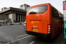 101114 광화문 잡채 - 버스 갤러리