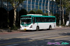 64031글 합성돋네 - 버스 갤러리
