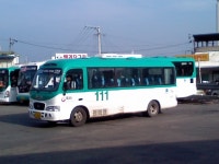 [경기/문산] 문산터미널 잡사 - 버스 갤러리