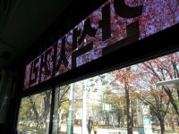 [인천11번] 문학동부터 송내까지 단거리만 뛰지만 충분히 흥하는 노선 - 버스 갤러리