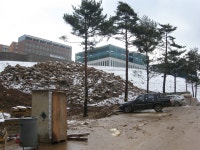 도계도계캠 - 강원대 갤러리