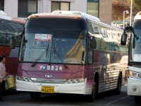 111120]일요일날찍은 잡다사진 - 버스 갤러리