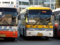 111120]일요일날찍은 잡다사진 - 버스 갤러리